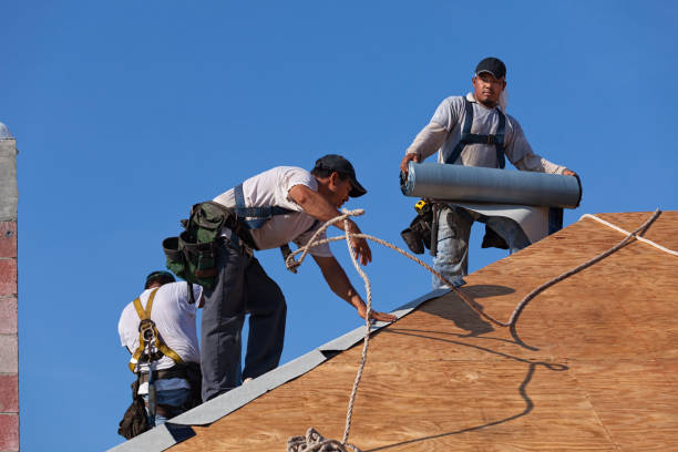Best Roof Repair Services  in Franklin, GA