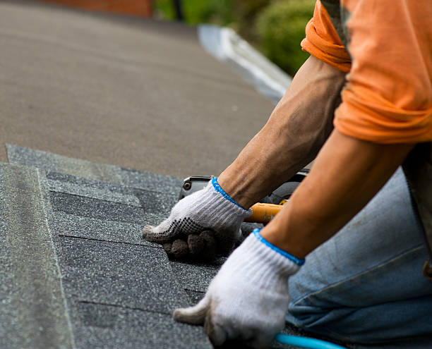Best Gutter Installation and Roofing  in Franklin, GA