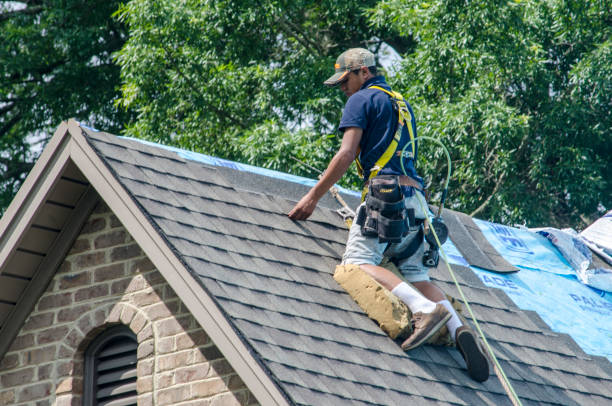 Quick and Trustworthy Emergency Roof Repair Services in Franklin, GA