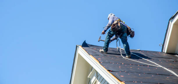 Best Metal Roofing Contractor  in Franklin, GA